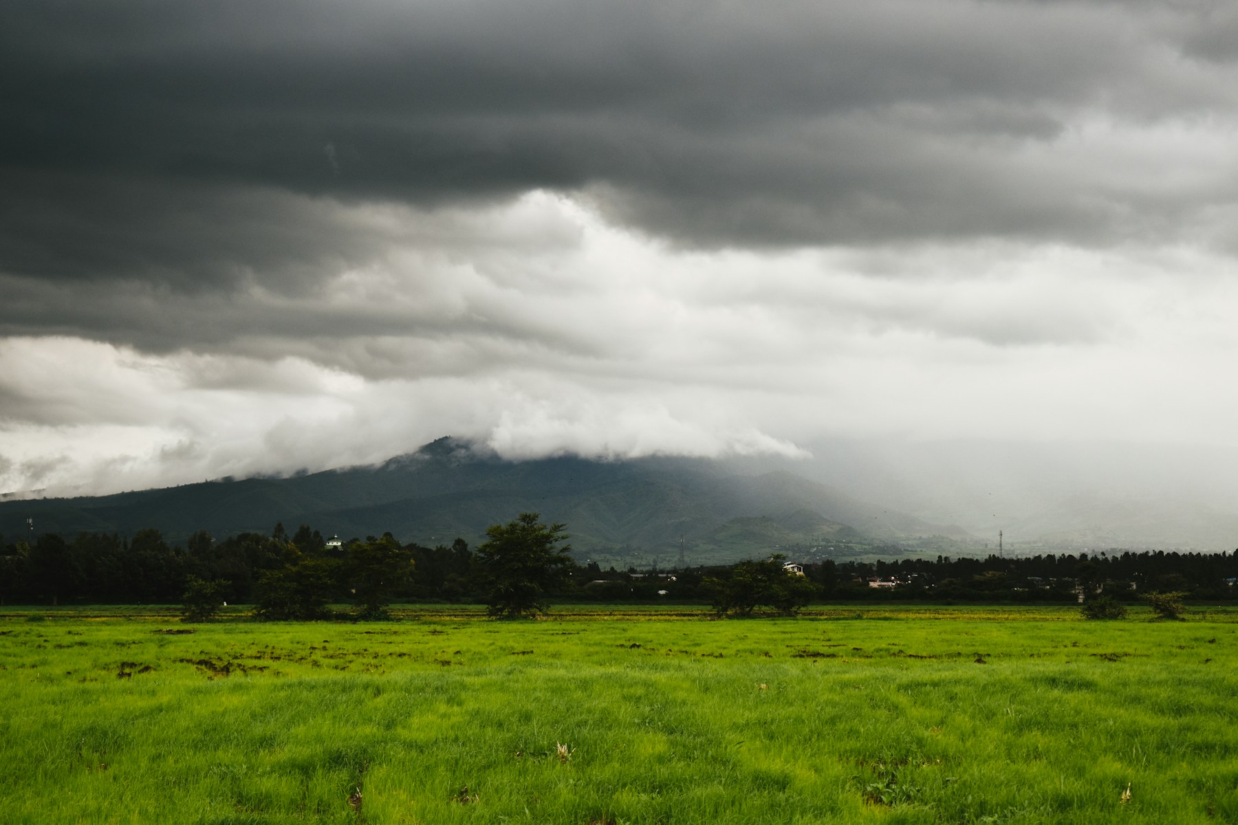 Green fields below Mount Yerer, Ethiopia